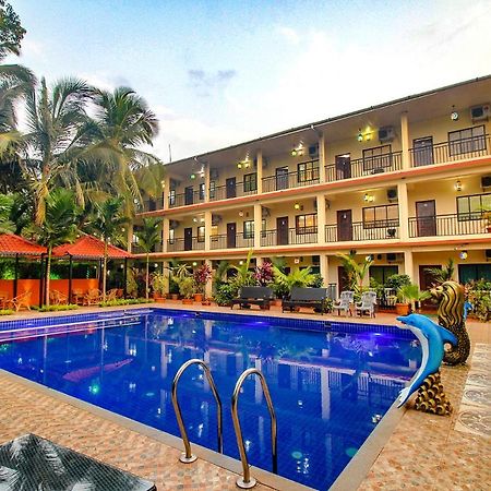 Fabescape Sk Studios With Pool & Gym, Arpora Gamle Goa Eksteriør billede